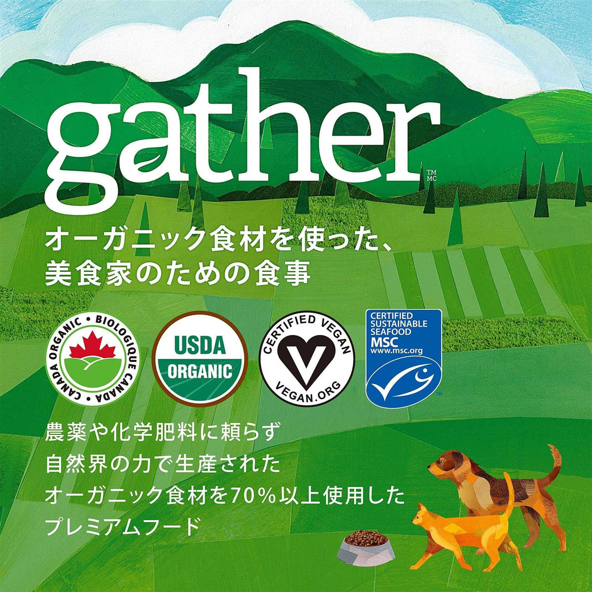 Organic Free-Run Chicken Dry Cat Food N768