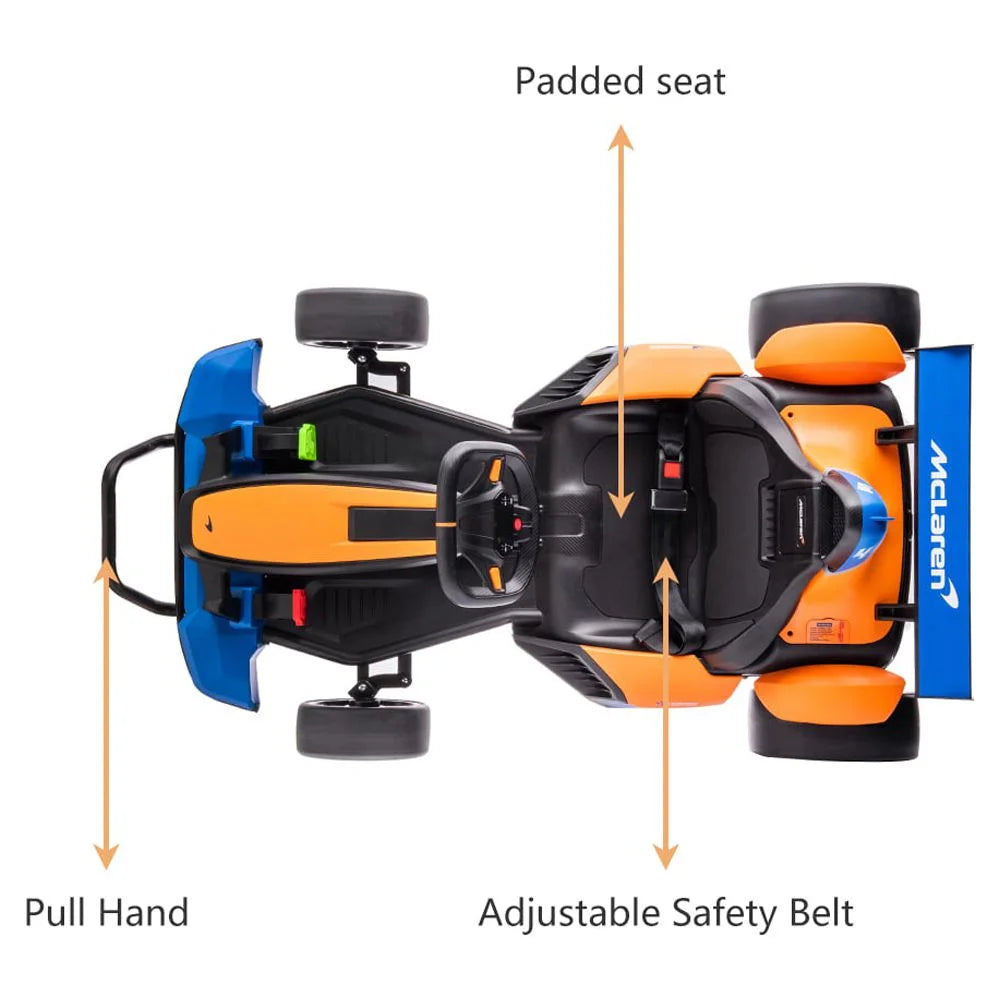24V Electric Ride on Car for Kids E4315