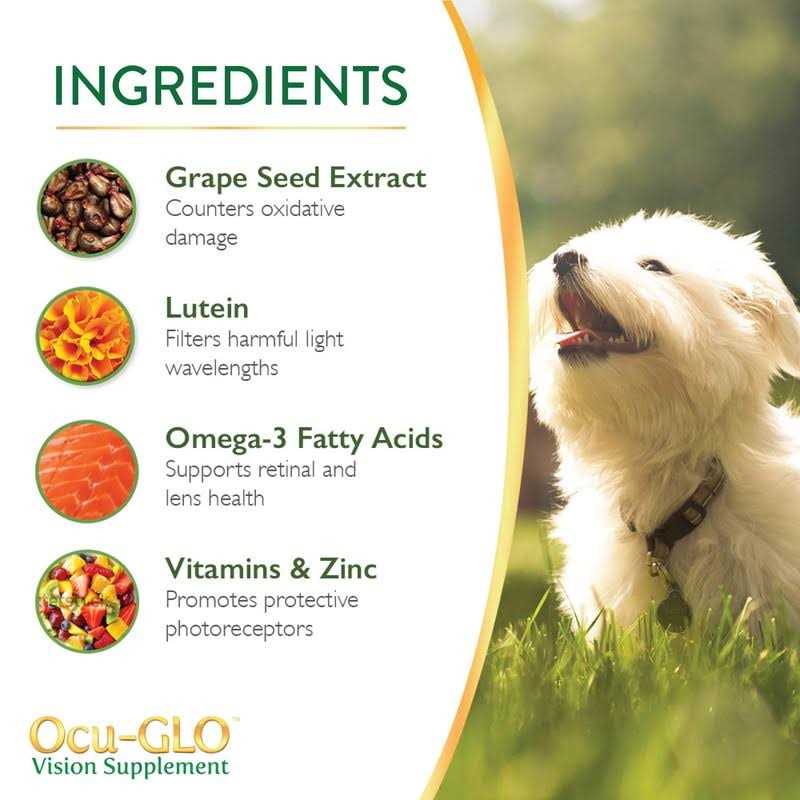 Vision Supplement for Small Dogs X54224