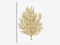 Gold O Canvases W85641