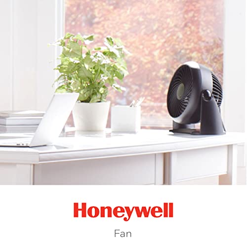 11 inch Fan Y12666