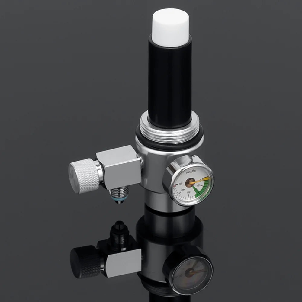 5L Double Aquarium CO2 Generator System Kit with Solenoid Valve Bubble Diffuser I56524