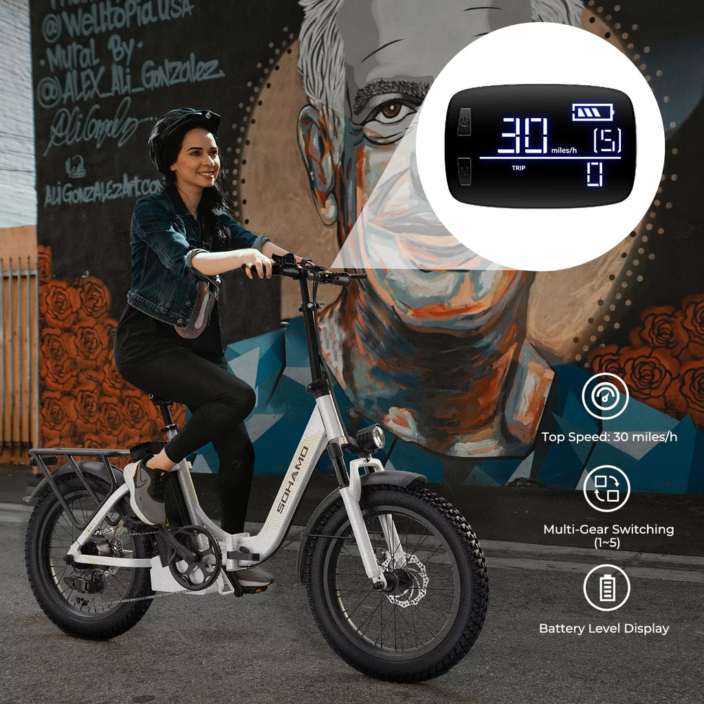 750W Folding Electric Bike 48V 15AH Removable Battery 20 Fat Tire F826688