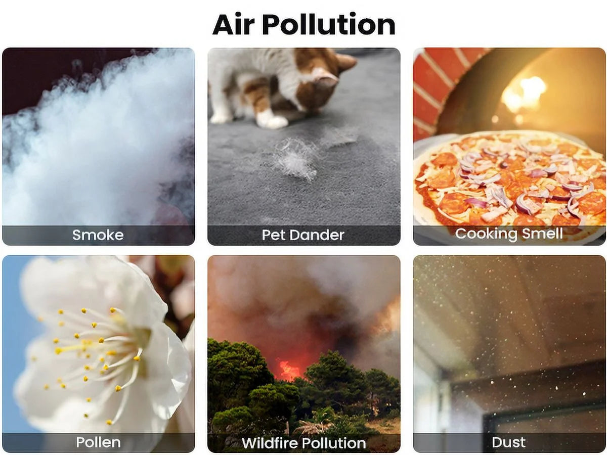 Air Purifier with H13 True HEPA Filter S889