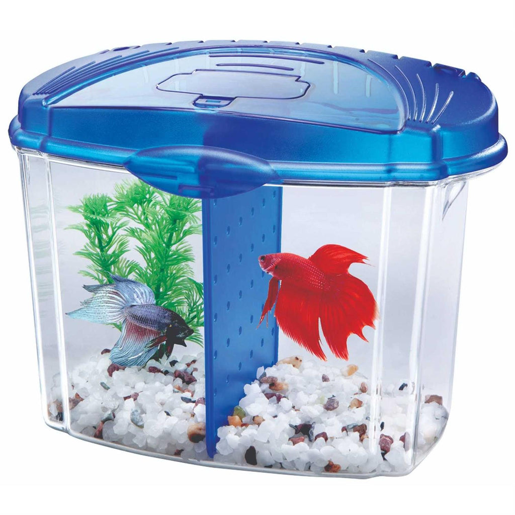 Betta Bowl Kit D8960