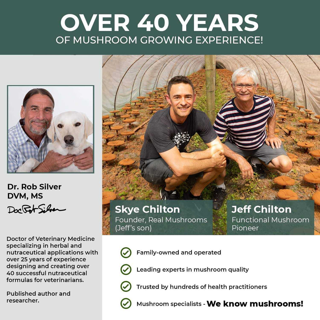 Turkey Tail Extract Capsules for Pets J586683