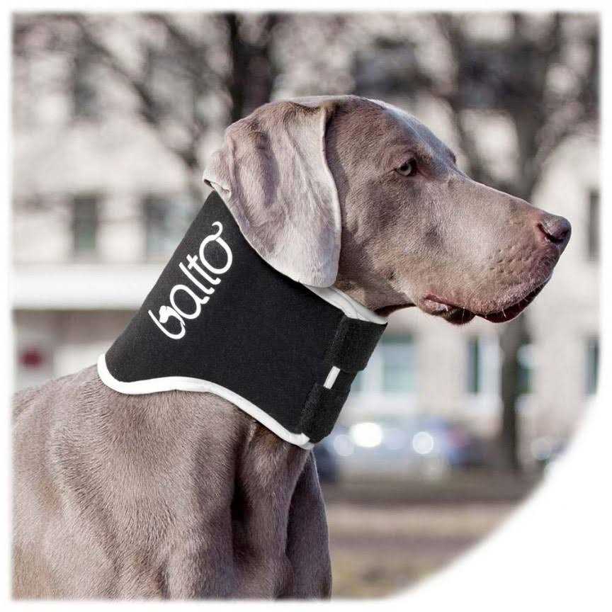Dog Cone Alternative E-Collar M372