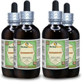 Epimedium grandiflorum Alcohol-Free Liquid Extract 4x4 fl.oz Q965
