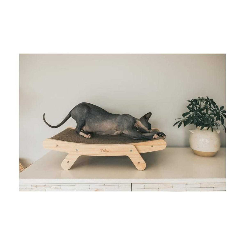 Cat Scratcher A629720