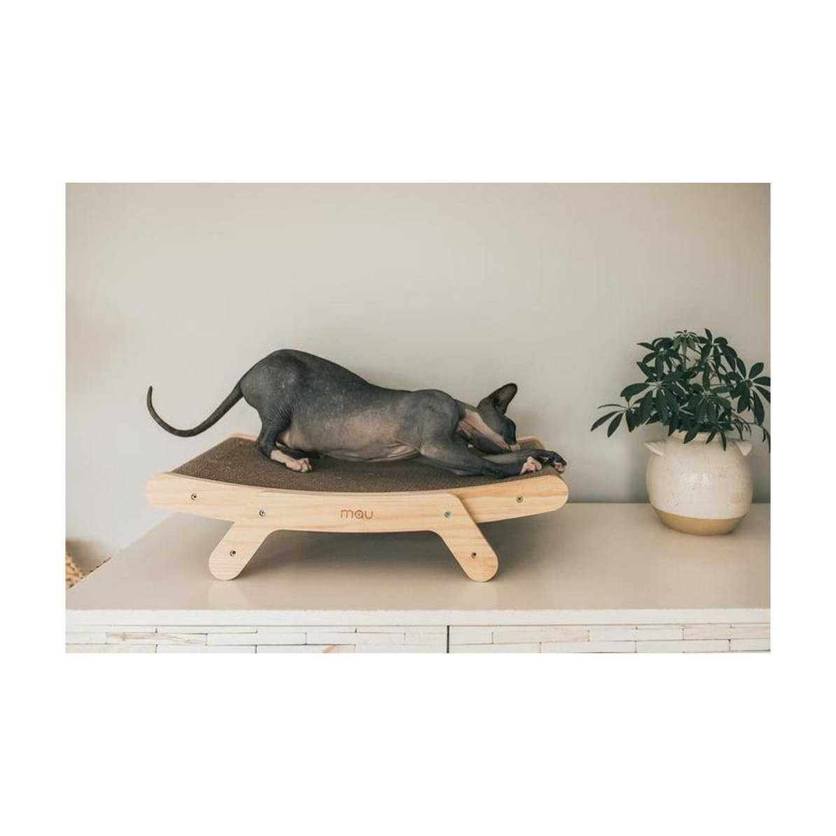 Cat Scratcher A629720