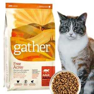 Organic Free-Run Chicken Dry Cat Food N768