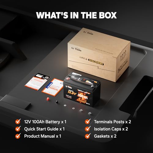 12V 100Ah LiFePO4 Battery Group 31 Lithium Battery with 100A BMS D66330
