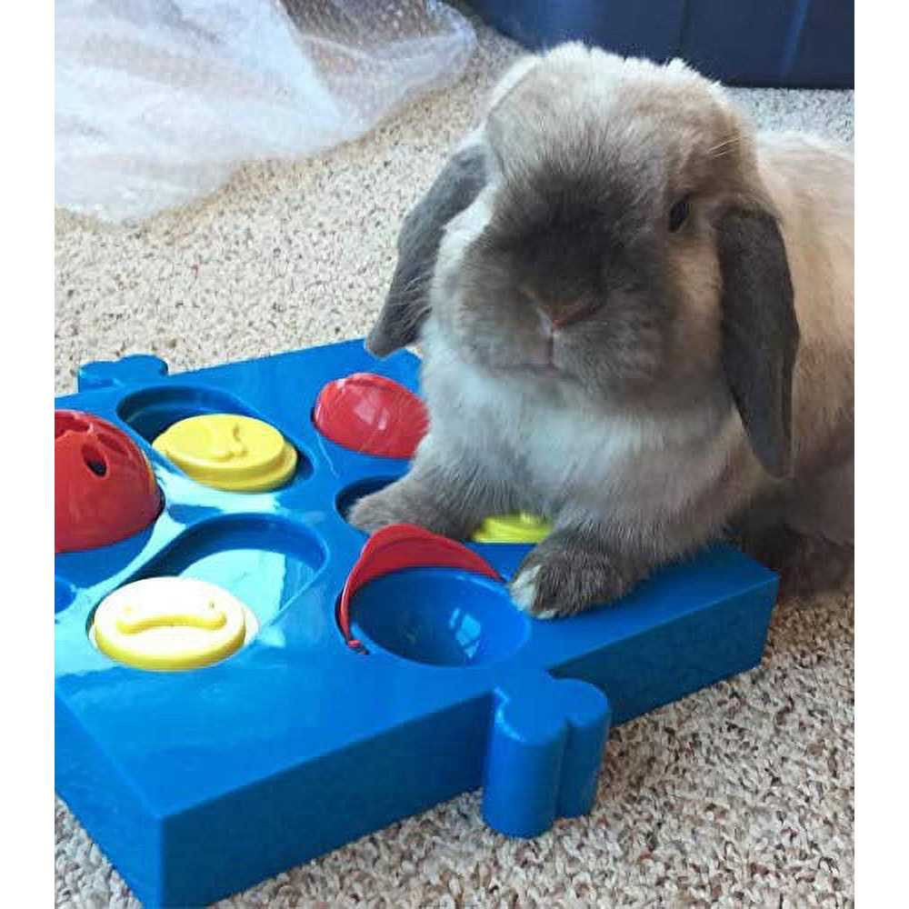 Interactive Dog Treat Puzzle C75977