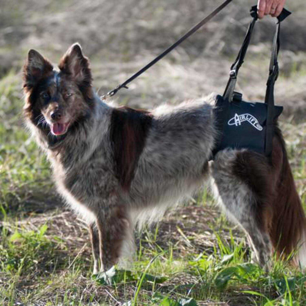 Support Harness V851353