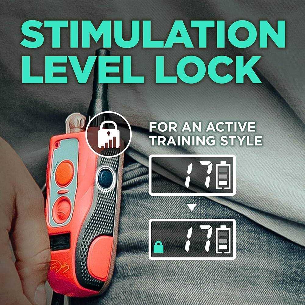 Waterproof Remote Dog Training E-Collar C49916