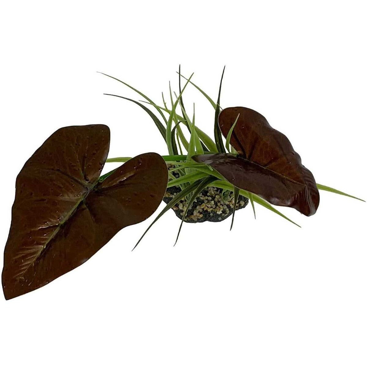 Canopy Plant K412