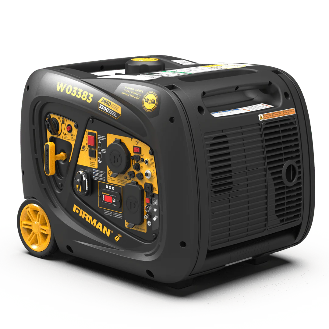 Portable 3,300 Watt Gas Generator D1788