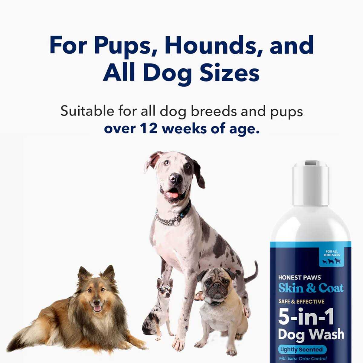 Dog Shampoo and Conditioner M948