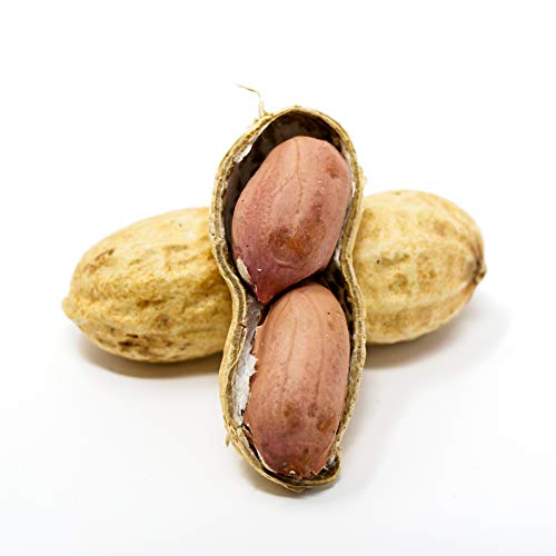 Raw Peanuts in Shell, 2.5 lb Y749731