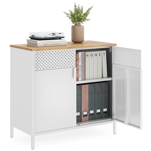 Metal Storage Cabinet with 2 Doors A484