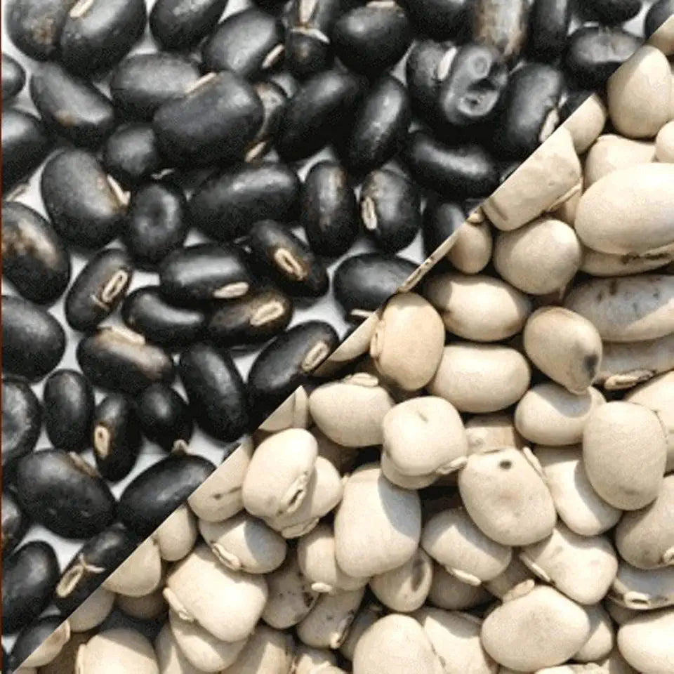 Black Kaunch Beej 100 gm White Kaunch Beej 100 gm Combo Pack 200 gram B699536