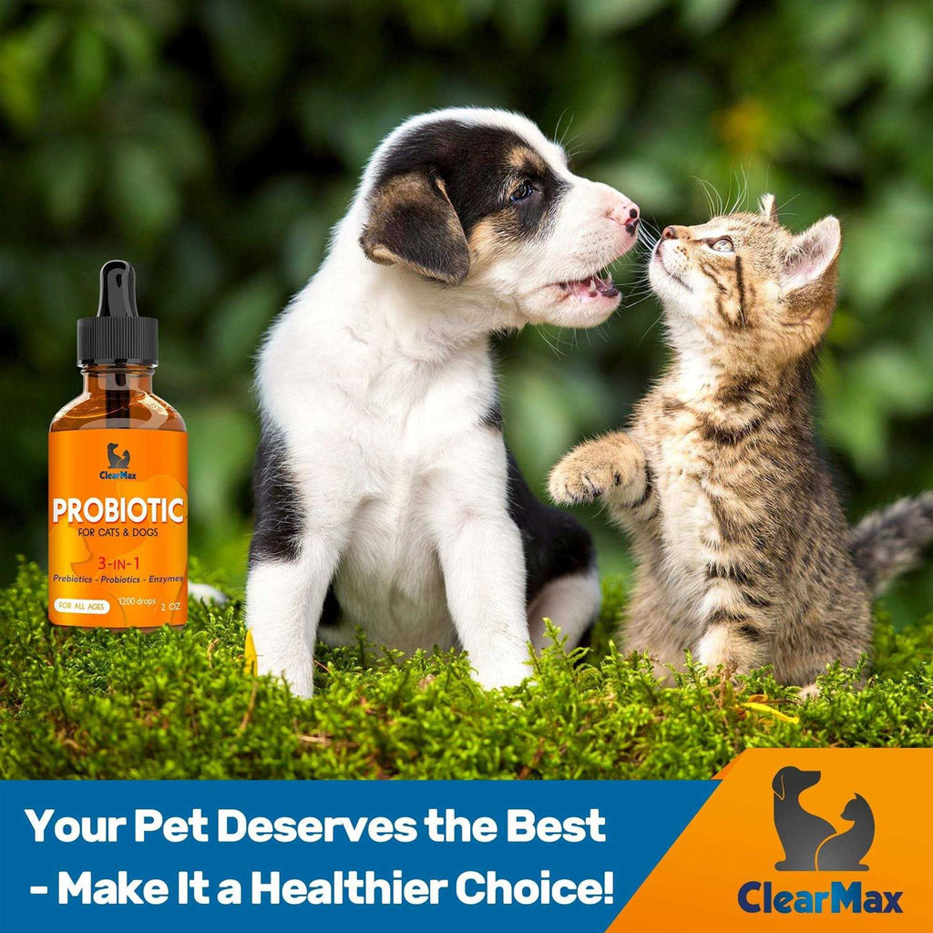 Probiotics for Dogs and Cats V481