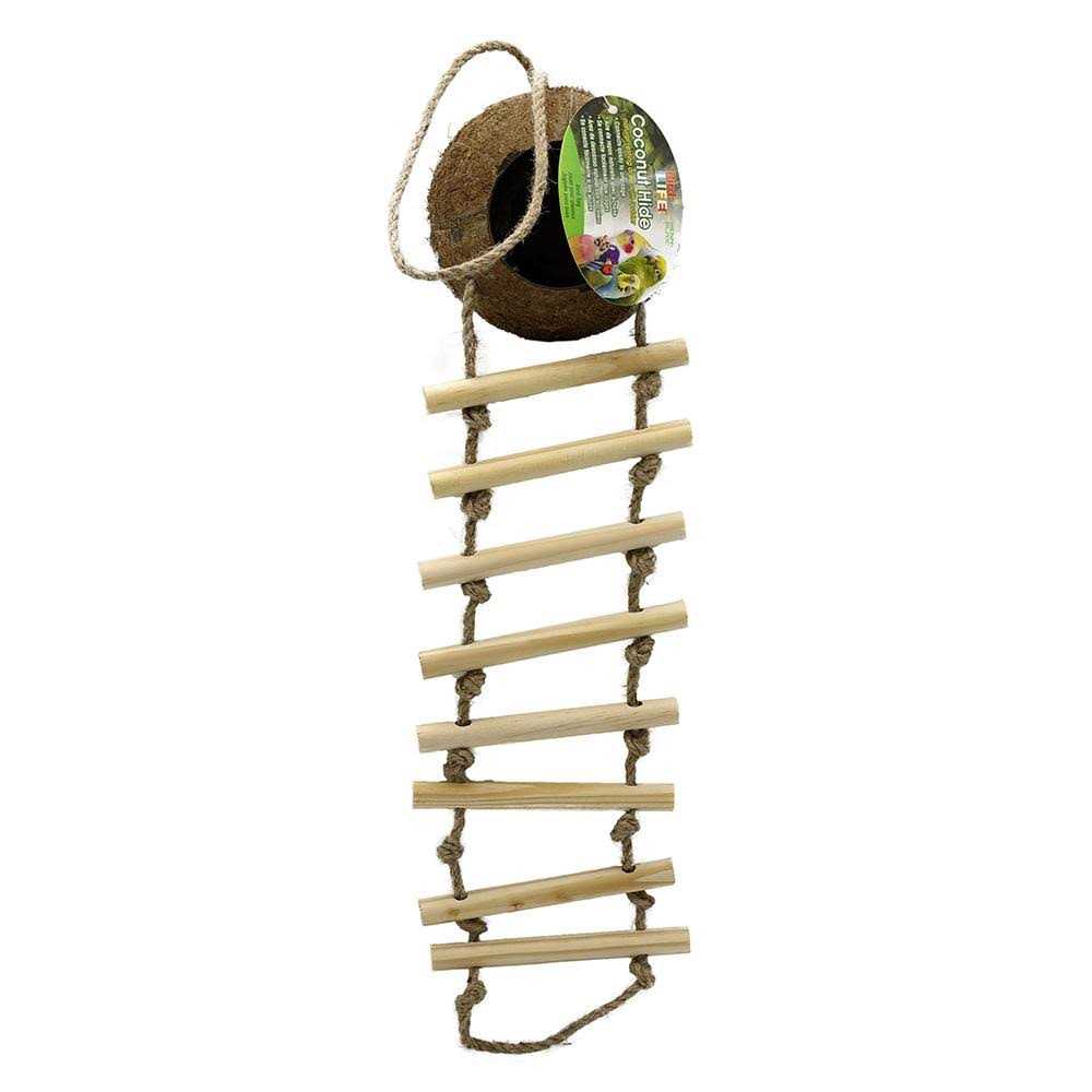 Coconut Hide with Ladder F352