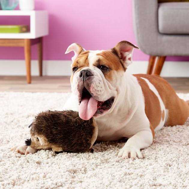 Dog Toy Hedgehog E4075