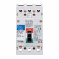 40A 3P 18kA Fixed Thermal BKR G2302