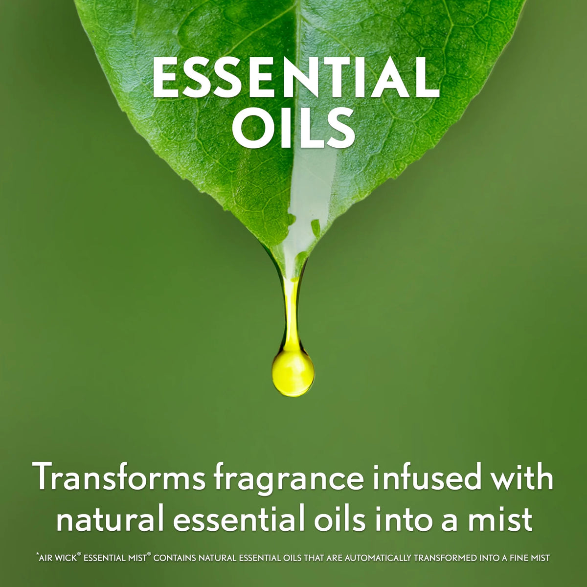 Essential Mist Starter Kit Diffuser Refill Pumpkin Spice Air Freshener D304760