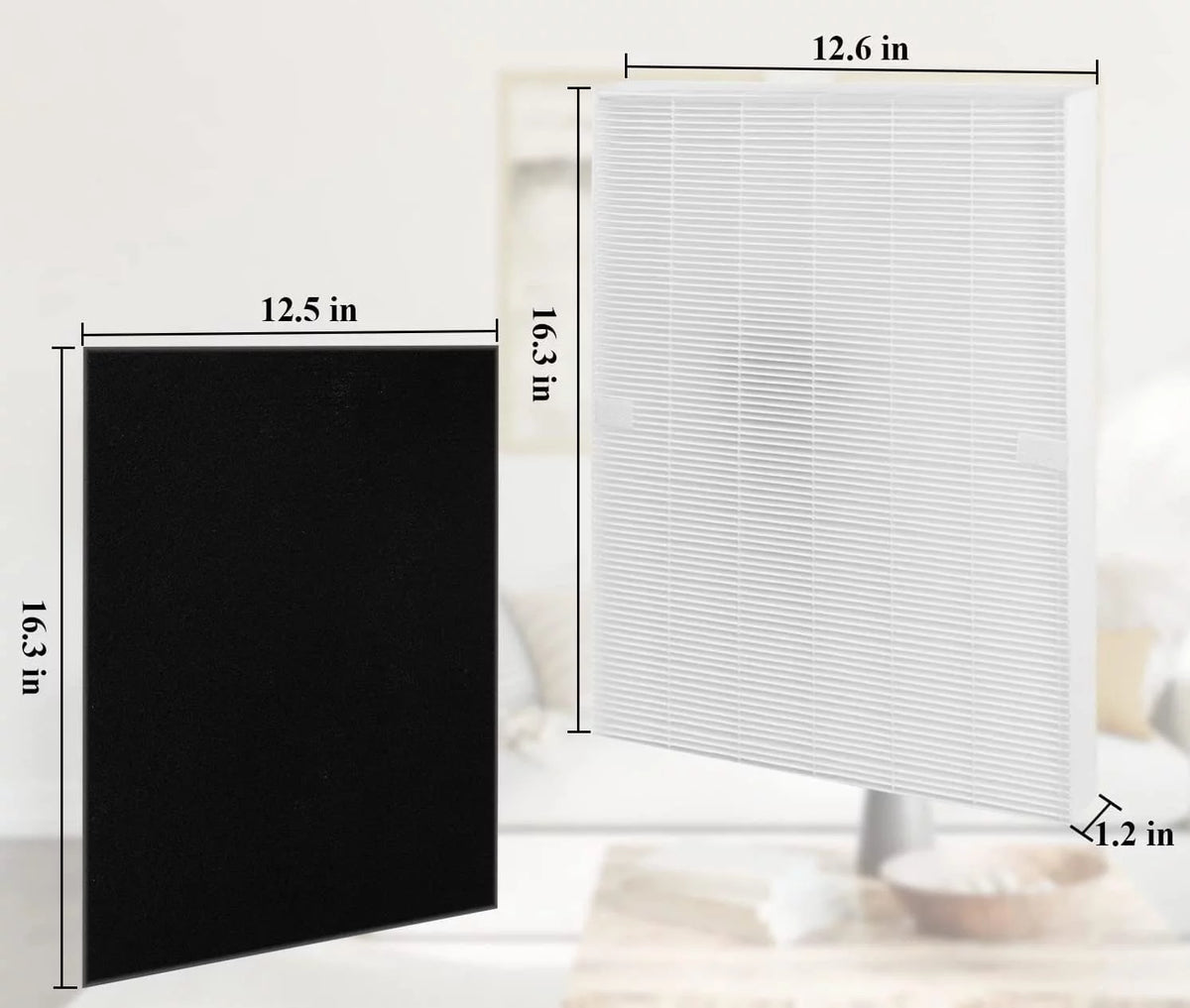 2 Pack Replacement True HEPA Size 21 Filters Plus 8 Carbon Pre-Filters R252246