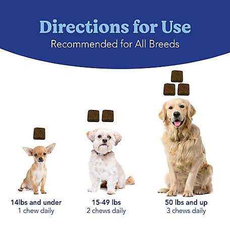 Natural Soft Chews for Dogs T3048