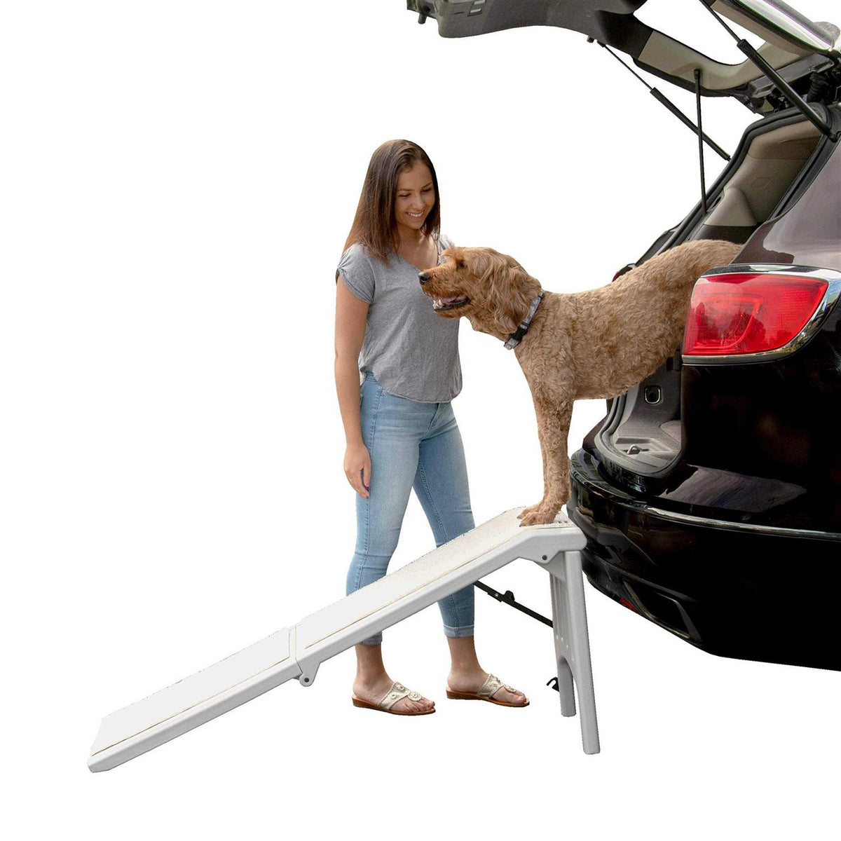 Free-Standing Pet Ramp S677711