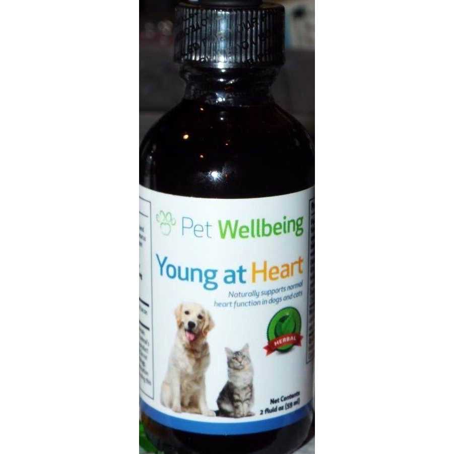Young at Heart for Cats L512