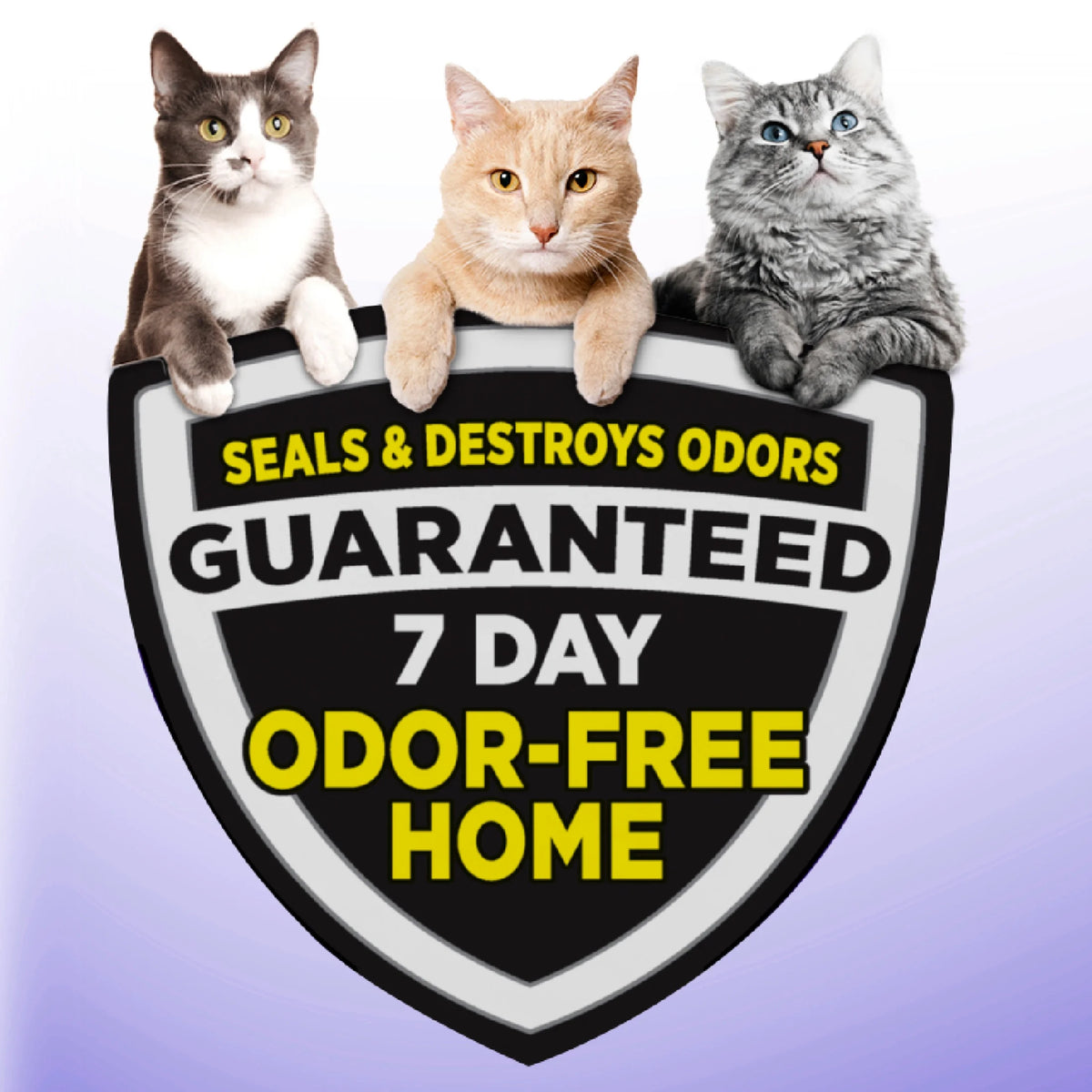 Multi-Cat Clumping Cat Litter 38 lbs N351