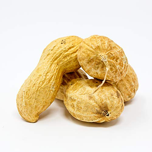 Raw Peanuts in Shell, 2.5 lb Y749731