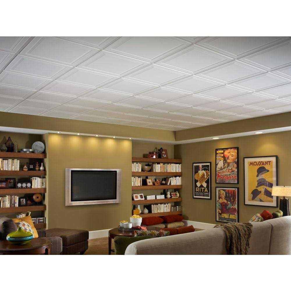 24 in. x 24 in. Tegular Single Raised Ceiling Tile A128