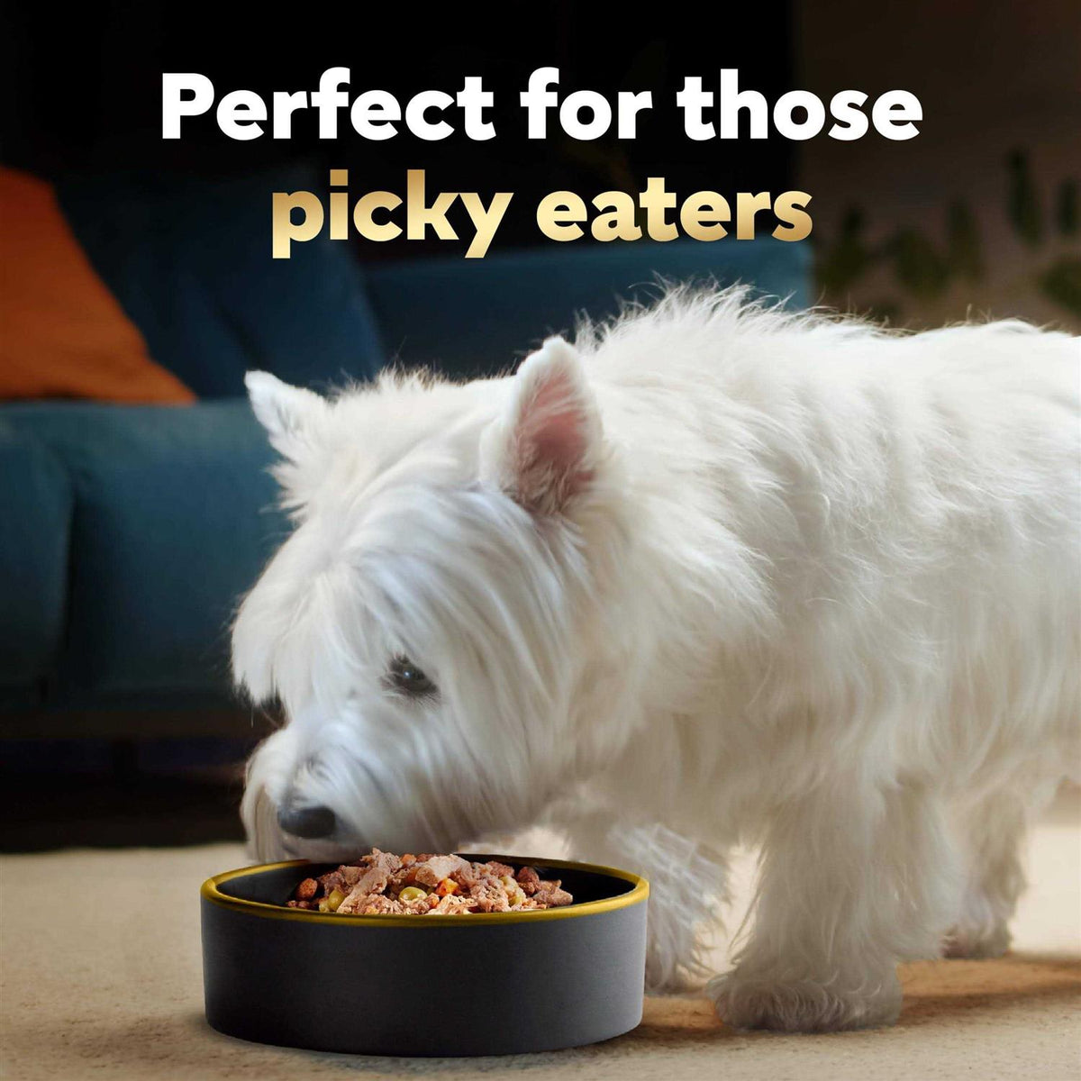 Chicken Wet Dog Food J1348