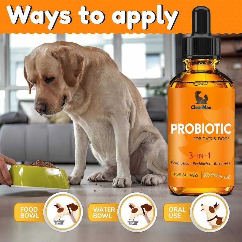 Probiotics for Dogs and Cats V481