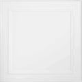 24 in. x 24 in. Tegular Single Raised Ceiling Tile A128