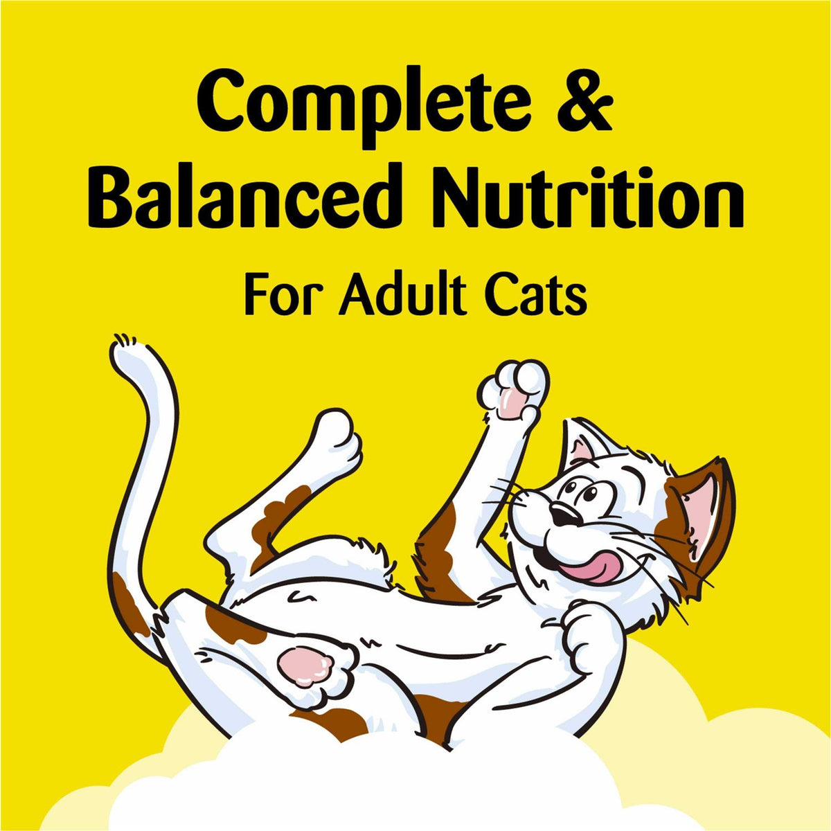 Treat Dispensing Cat Toy W34086