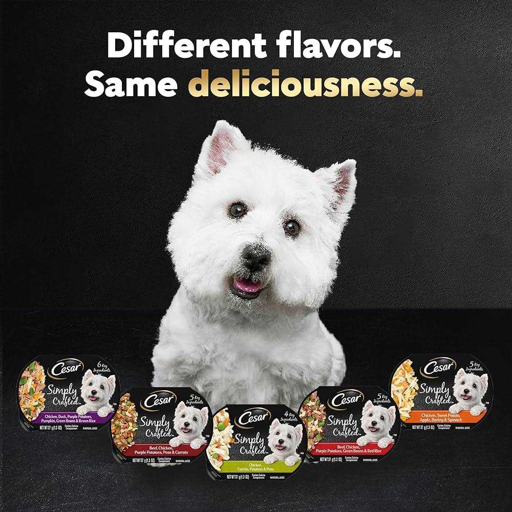 Chicken Wet Dog Food J1348