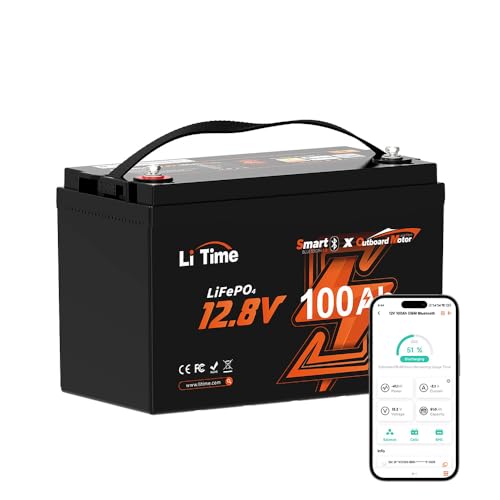 12V 100Ah LiFePO4 Battery Group 31 Lithium Battery with 100A BMS D66330