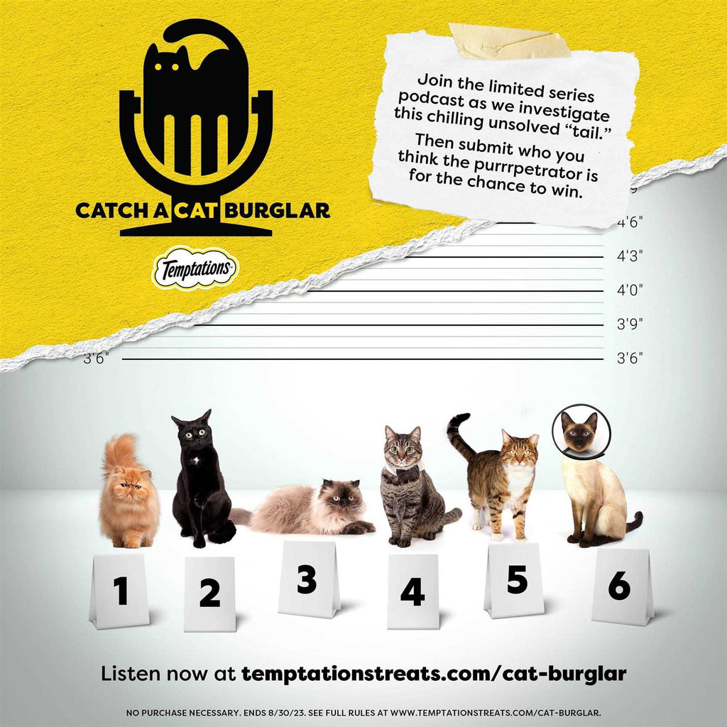 Treat Dispensing Cat Toy W34086