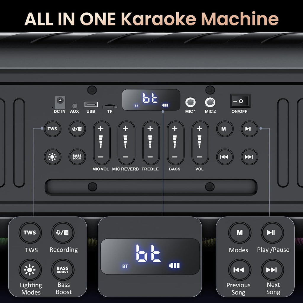 Karaoke Machine with 2 Microphones, Bluetooth Speaker with Dual 6.5" Subwoofer I733