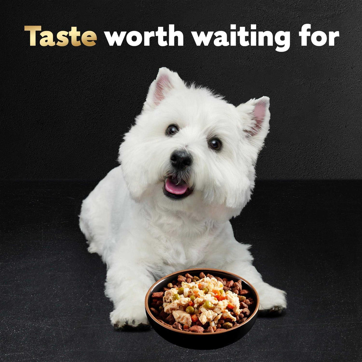 Chicken Wet Dog Food J1348