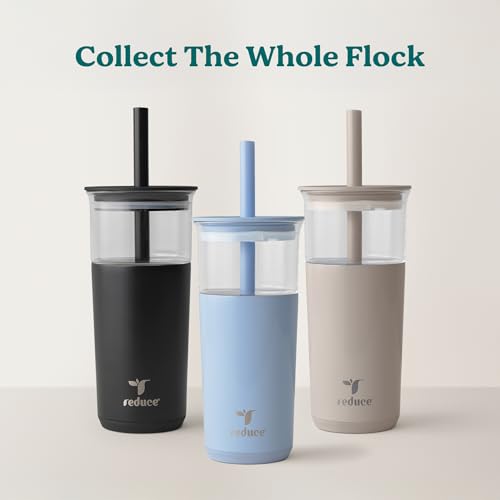 20 oz Vacuum Insulated Glass Tumbler with Lid & Straw G1558