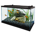 10 Gallon Glass LED Aquarium Kit Z22059