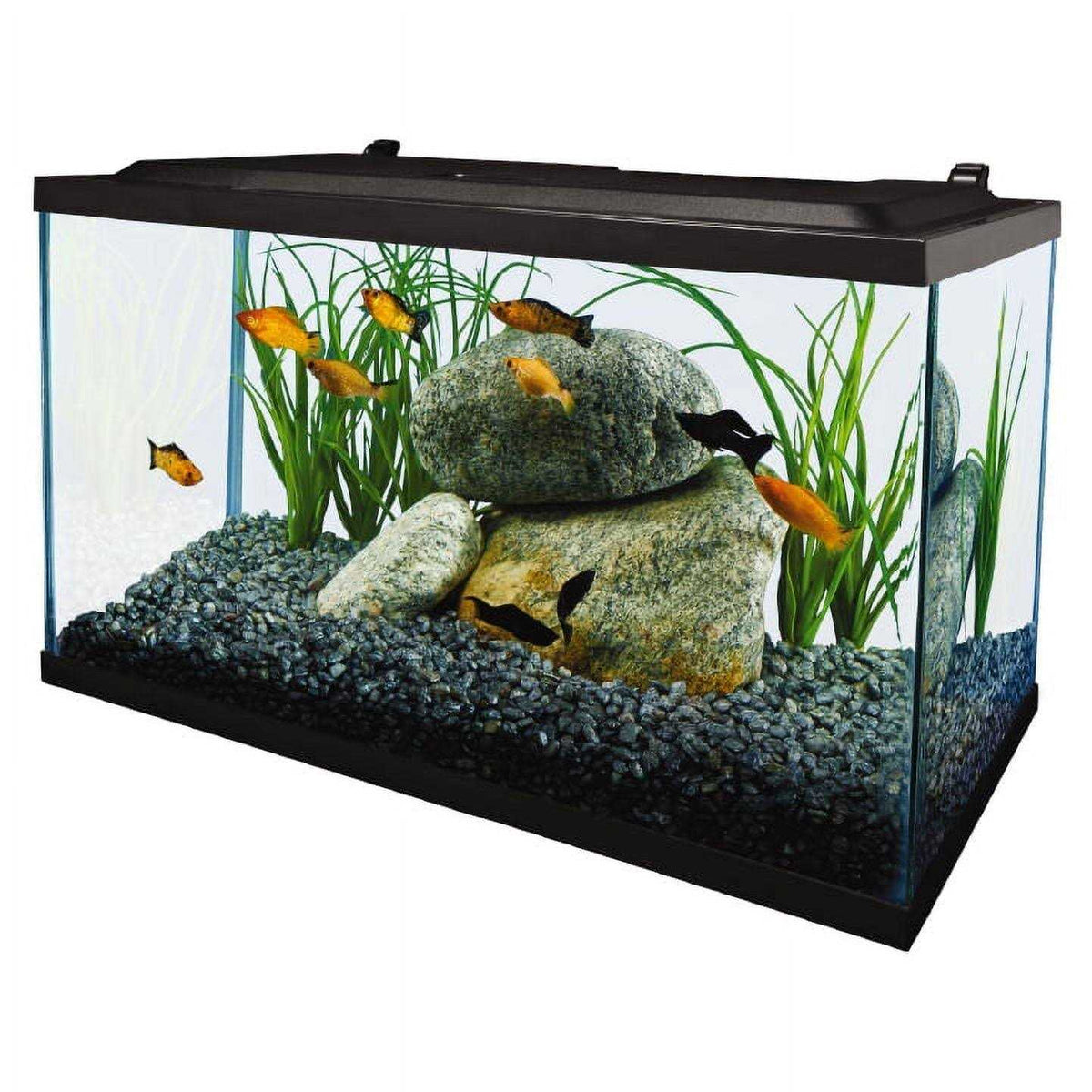 10 Gallon Glass LED Aquarium Kit Z22059