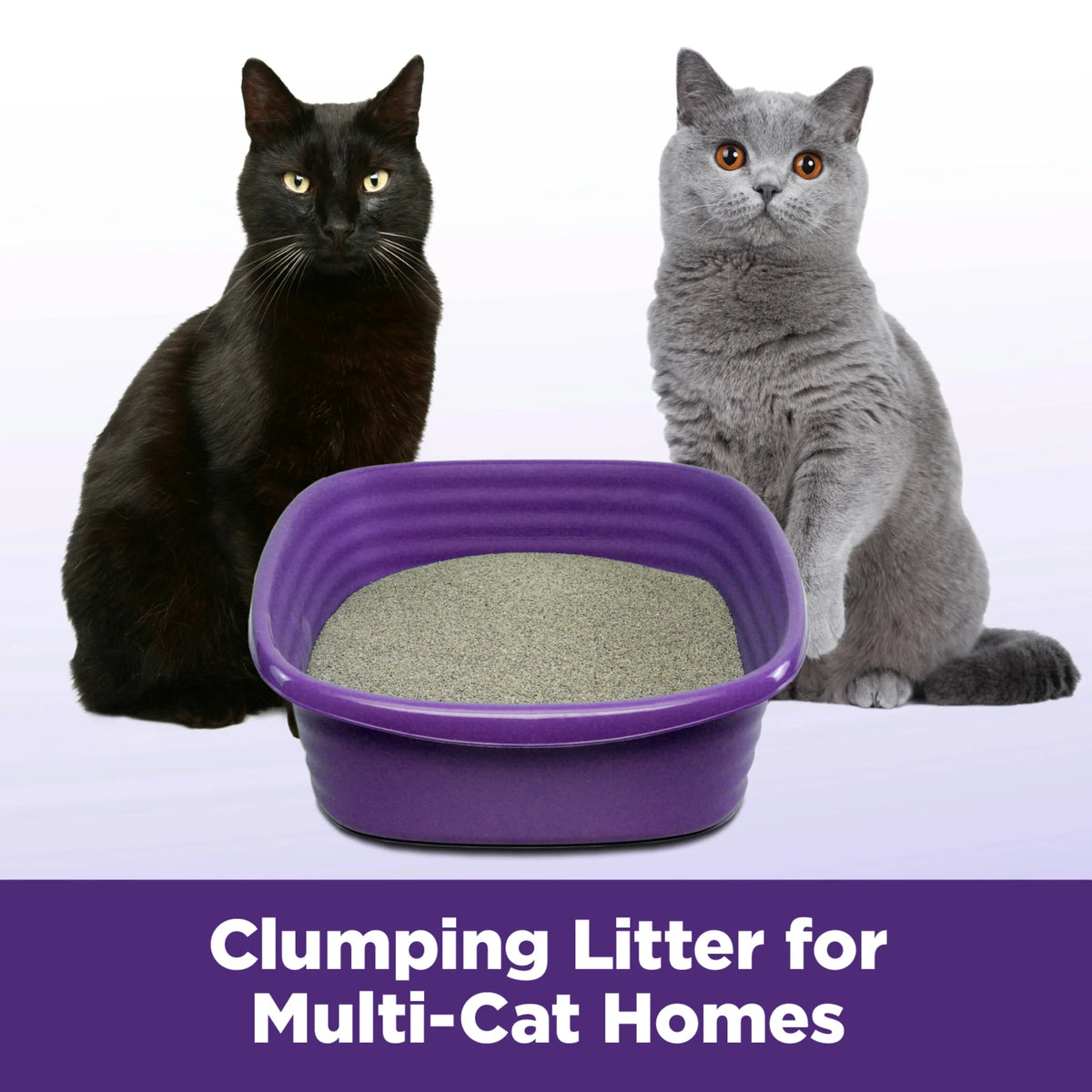 Multi-Cat Clumping Cat Litter 38 lbs N351